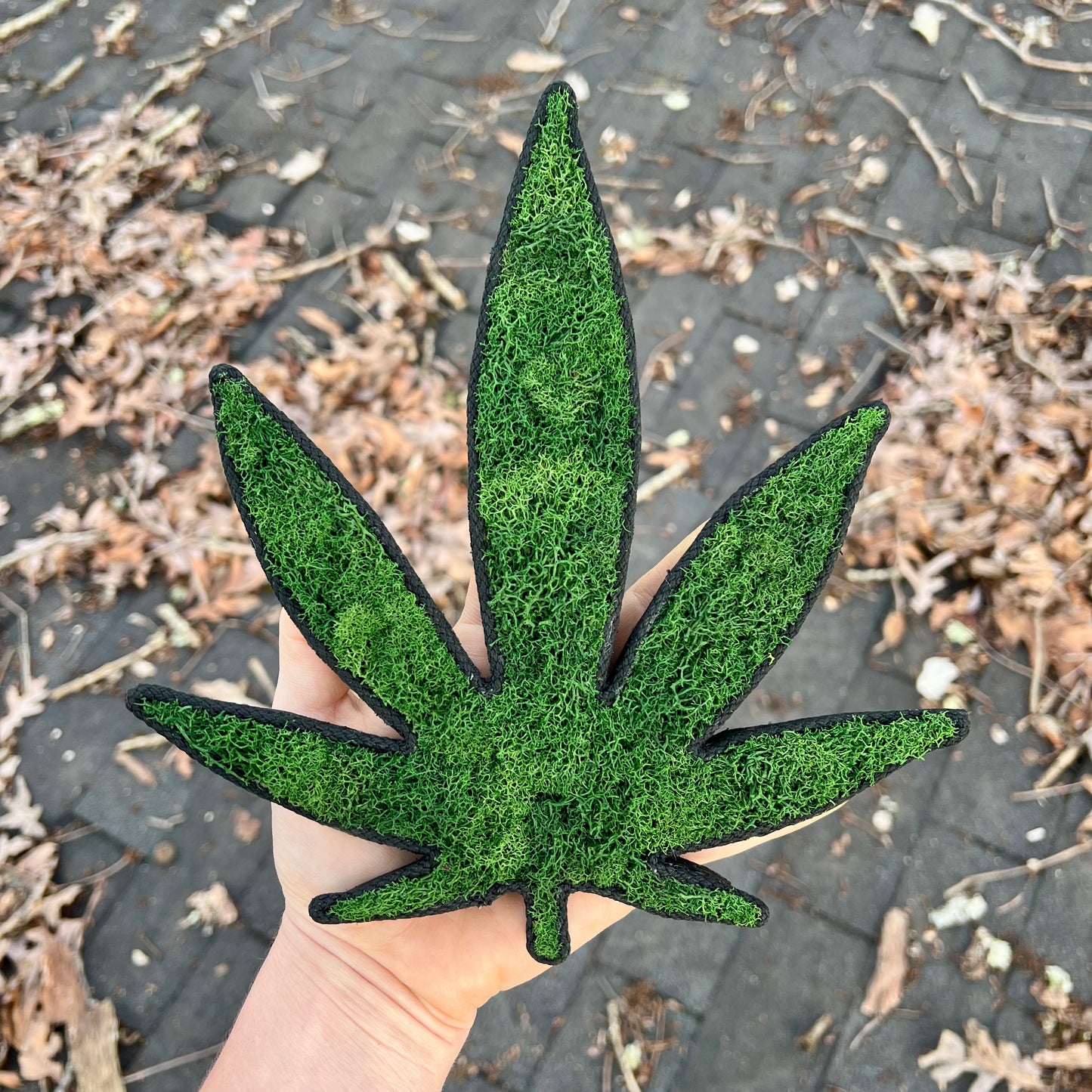 MaryJane Leaf