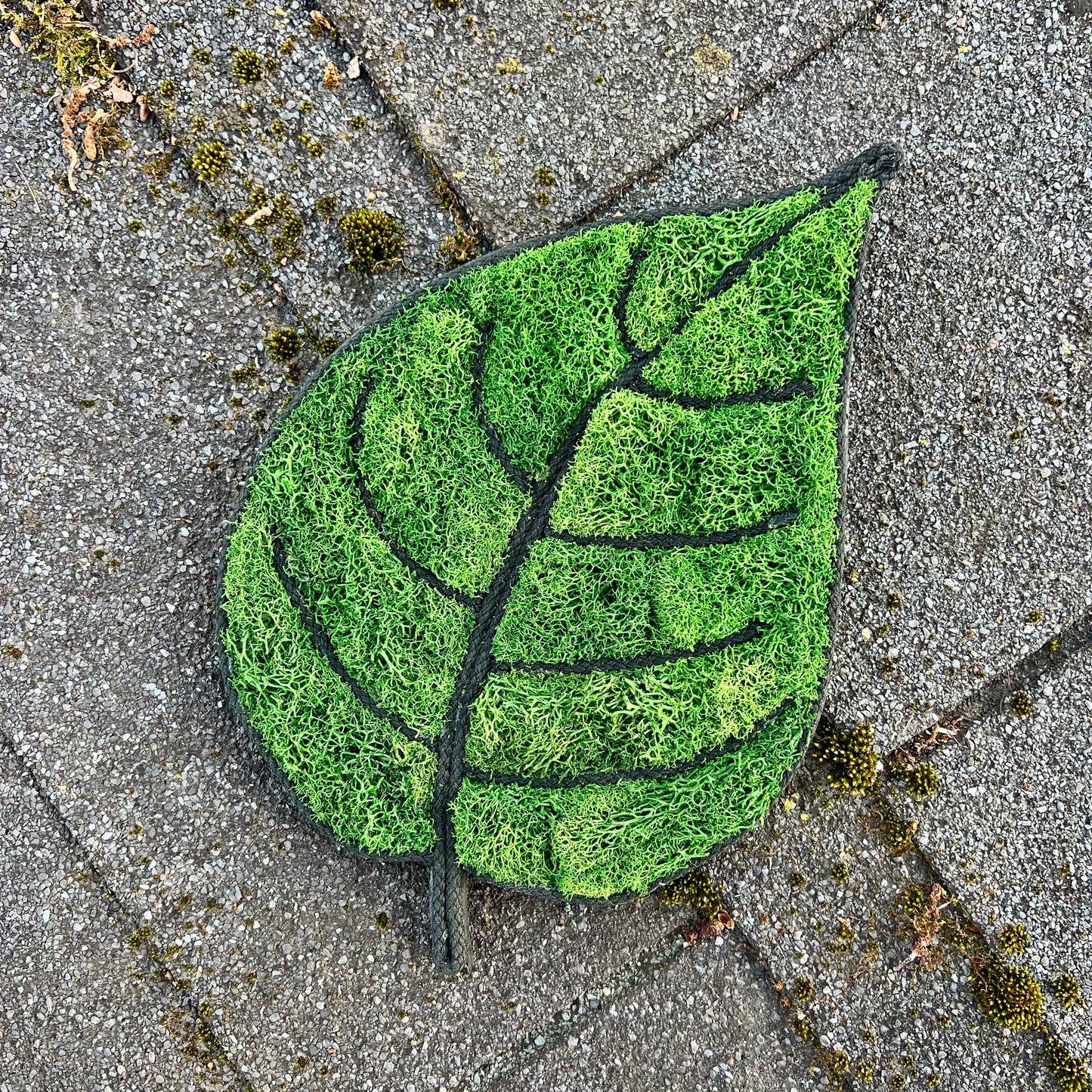 Moss Peepal Leaf