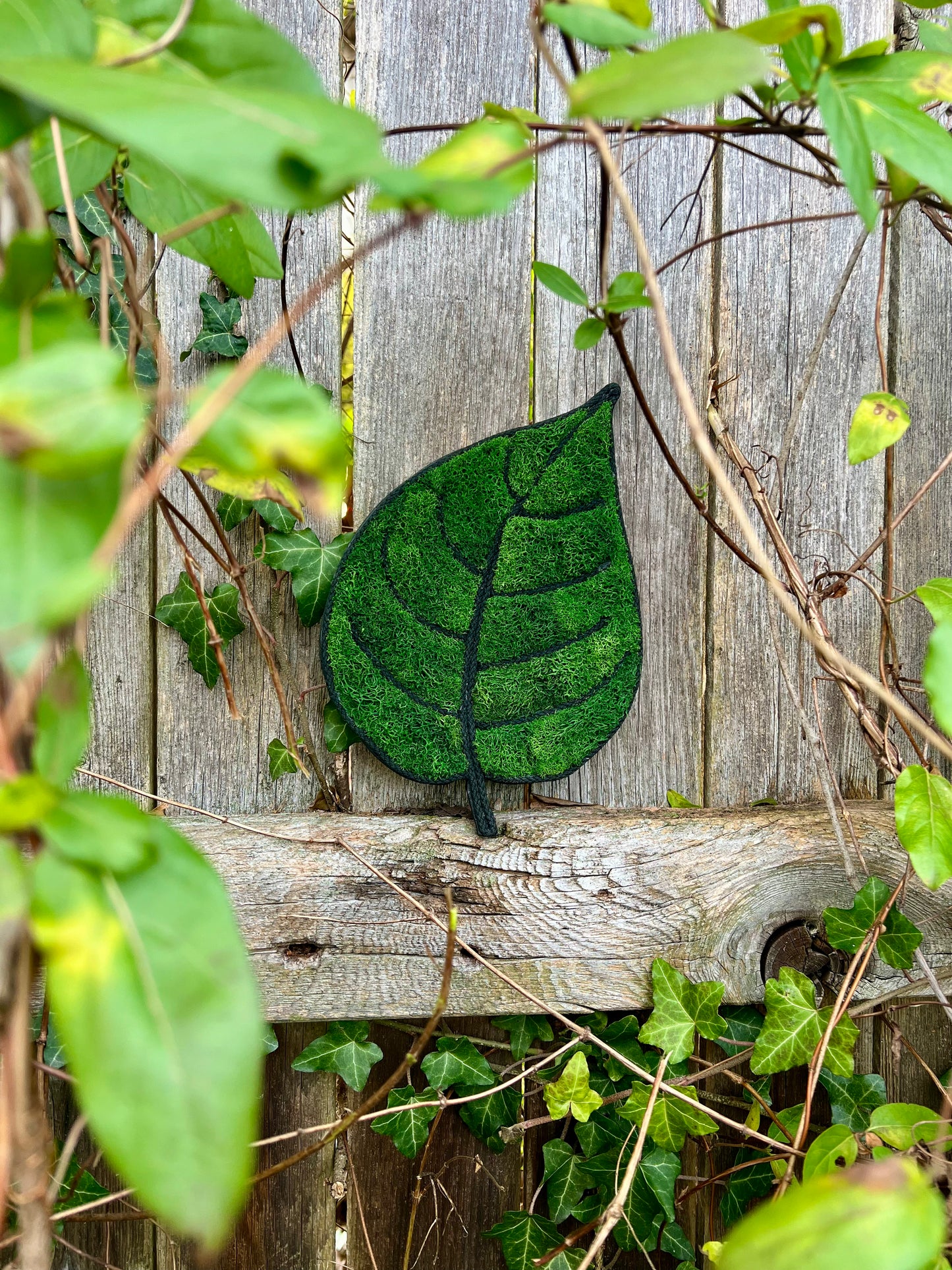 Moss Peepal Leaf