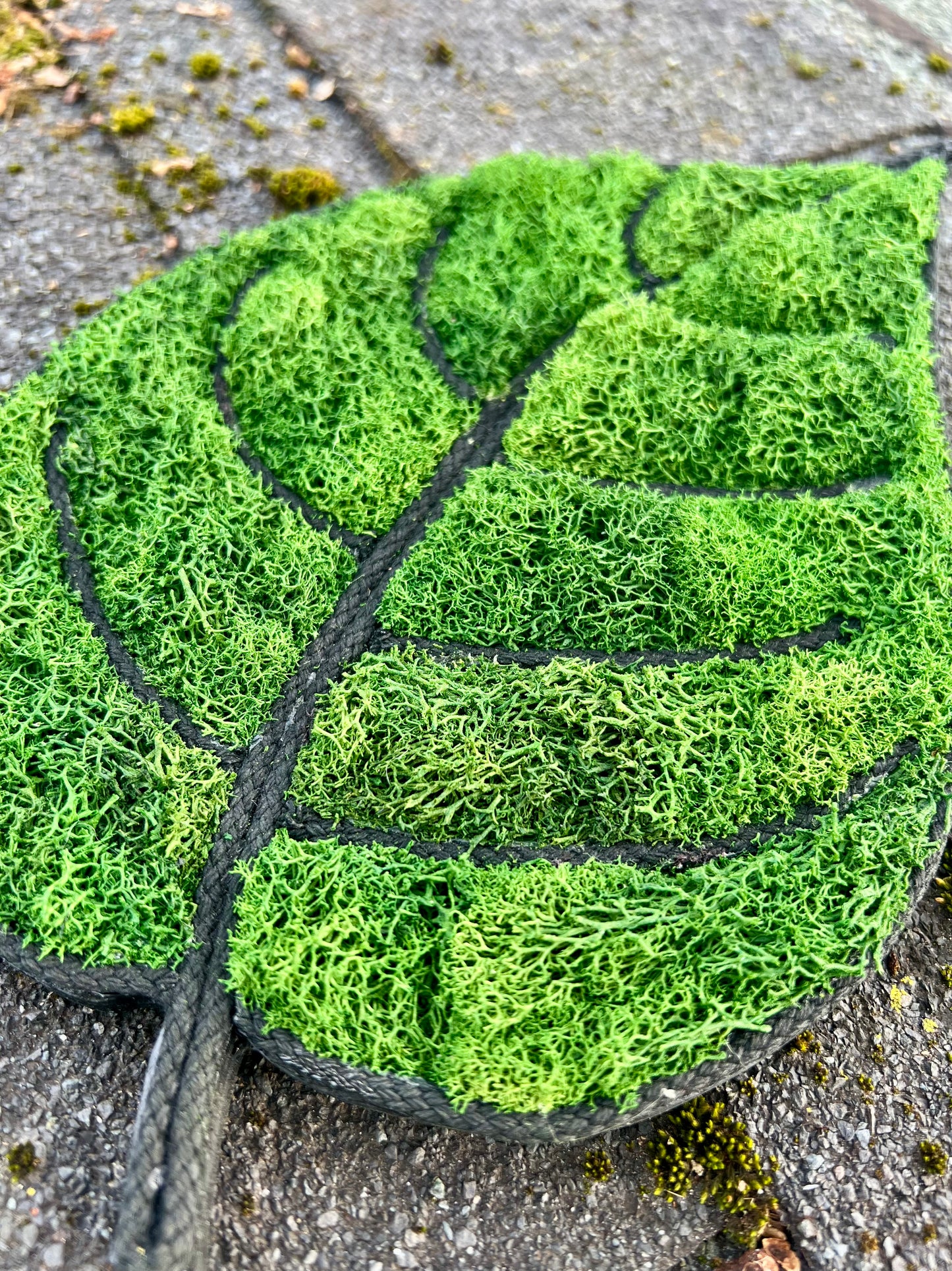 Moss Peepal Leaf