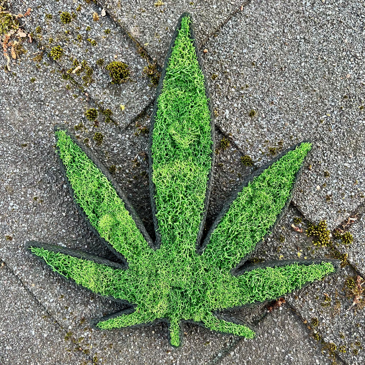 MaryJane Leaf