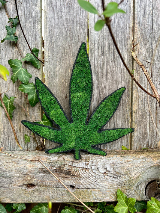 MaryJane Leaf