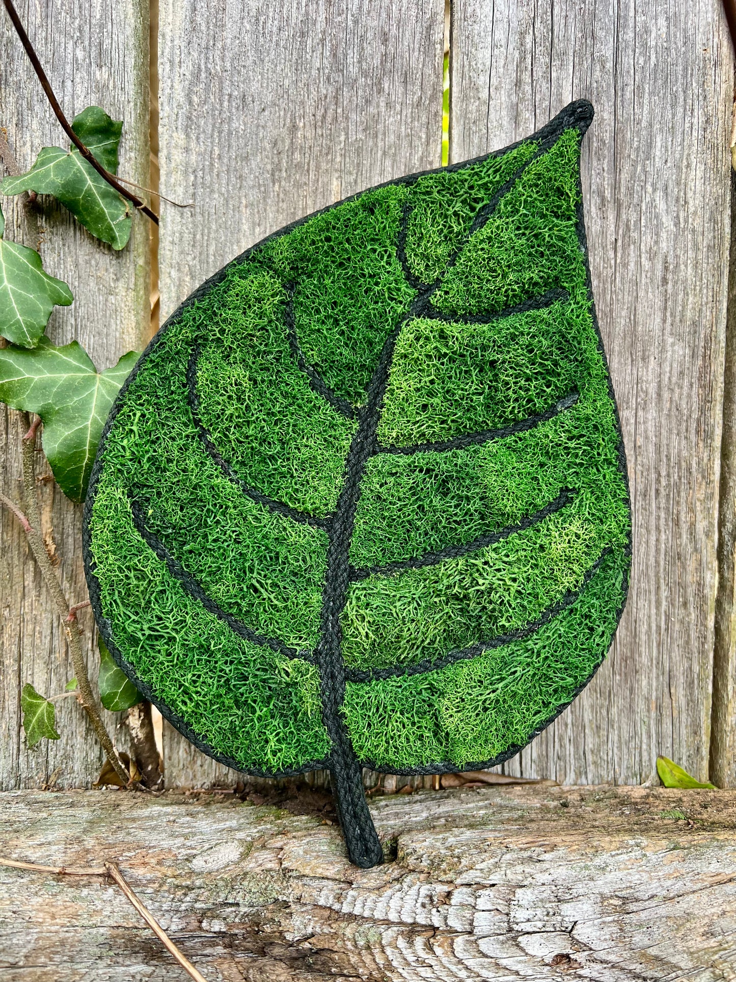 Moss Peepal Leaf