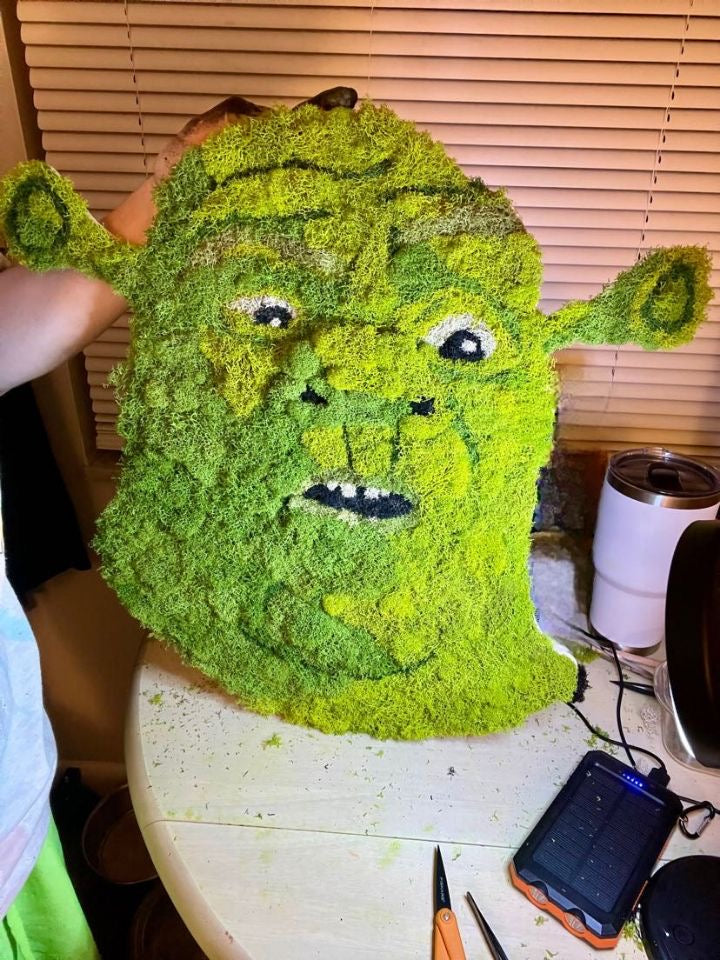 Confused Shrek Head