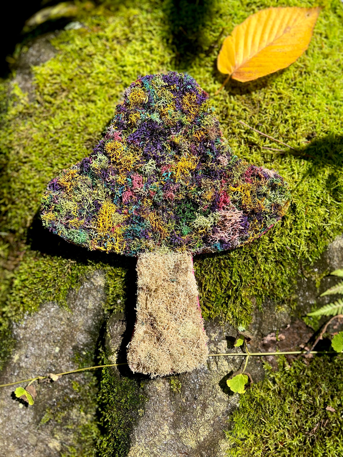 Multi-Colored Mosshroom