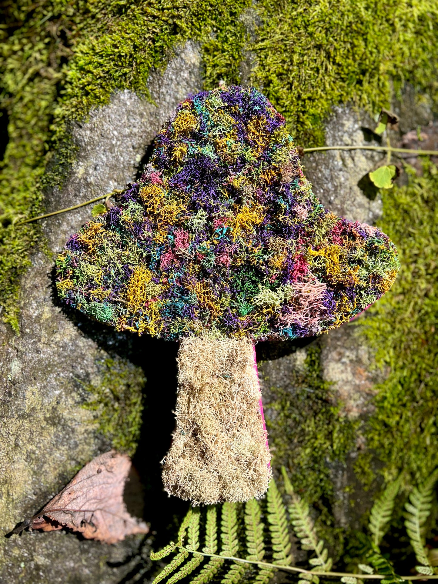 Multi-Colored Mosshroom