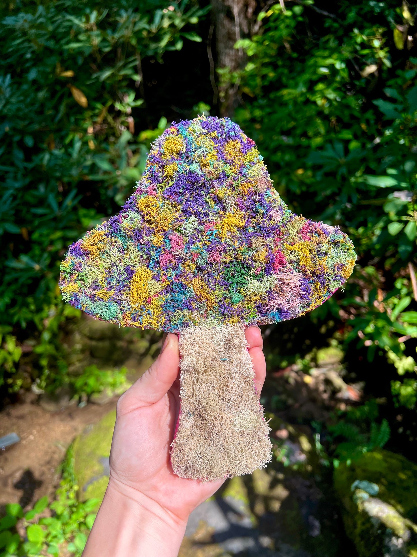 Multi-Colored Mosshroom